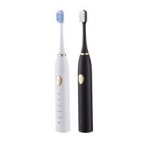 Sonic Electric Toothbrush Waterproof IPX7