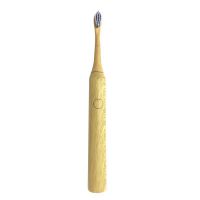 Bamboo Sonic Toothbrush